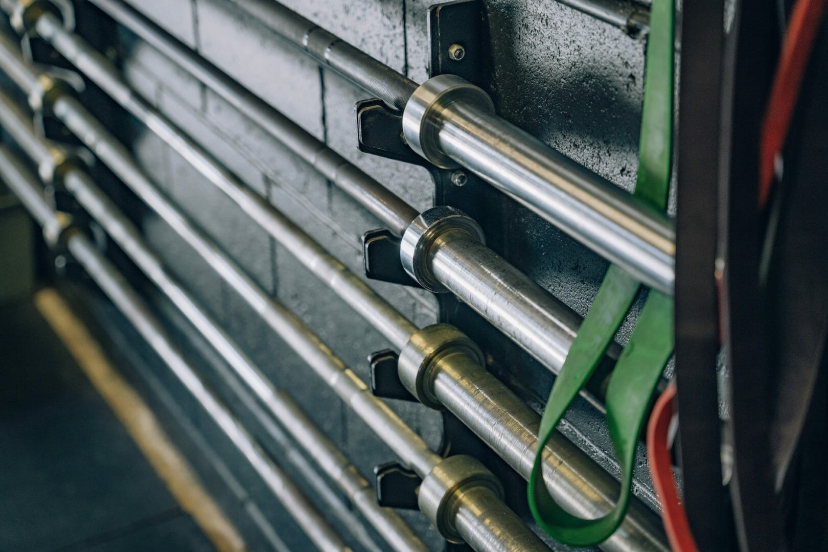 barbells lined up