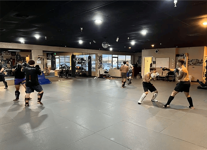 fight technique classes